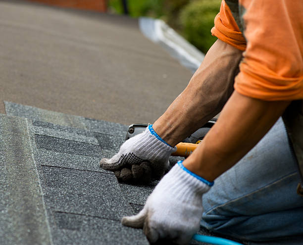 Best Metal Roofing Contractor  in Pinedale, WY